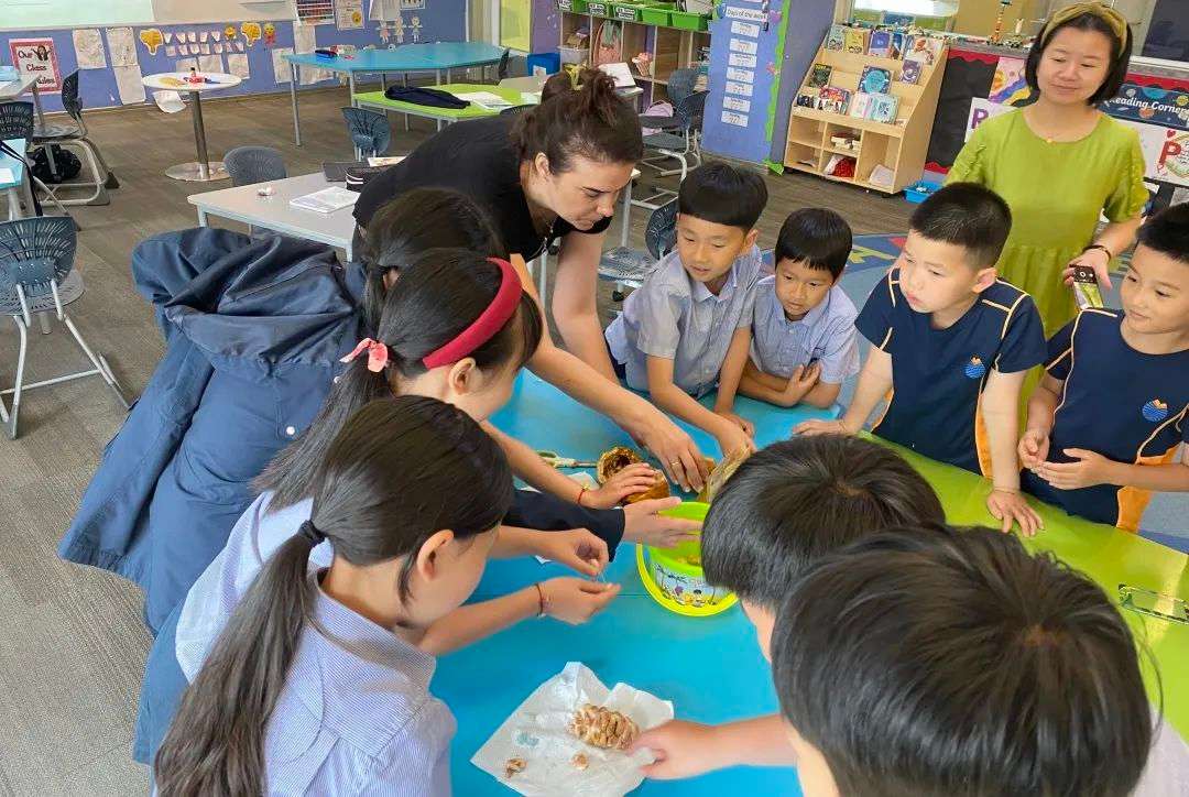PBL项目式学习 | 桐乡耀华小学部课题探究：巧克力对你有好处吗?