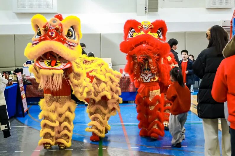 Lion Dance Close up