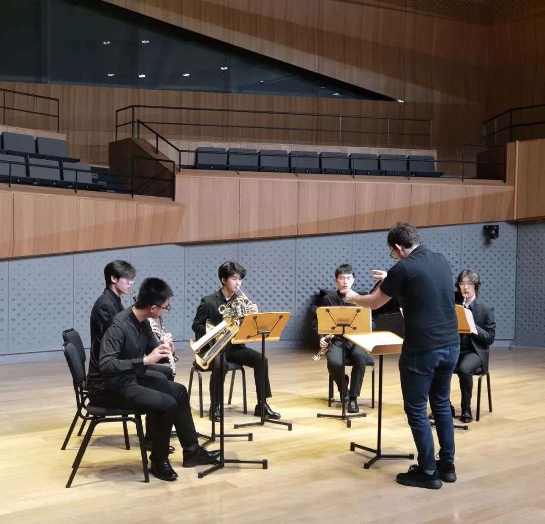 Woodwind quintet group performance on stage