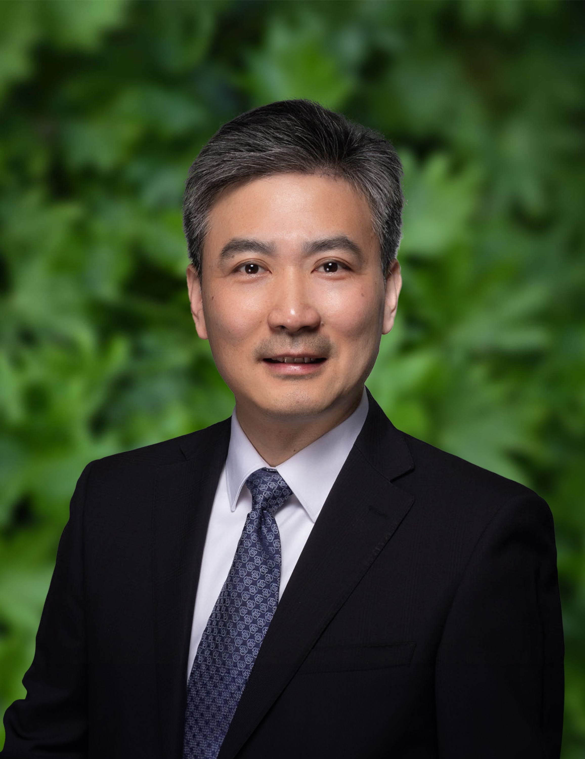Regional Executive Principal